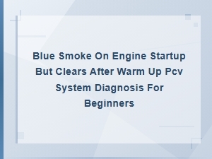 Blue Smoke on Startup That Clears After Warm Up: Pcv System Diagnosis for Beginners