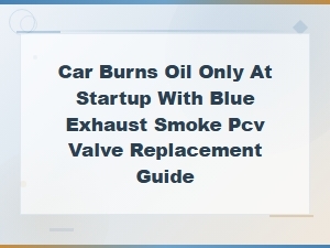Car Burns Oil Only at Startup Blue Smoke - Pcv Valve Replacement Guide