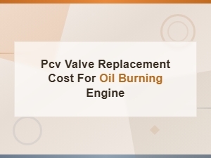 Pcv Valve Replacement Cost for Oil-Burning Engines