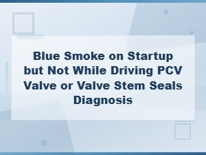 Blue Smoke on Startup: Pcv Valve or Valve Stem Seals?