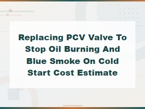 Pcv Valve Replacement Cost to Fix Blue Smoke on Cold Start